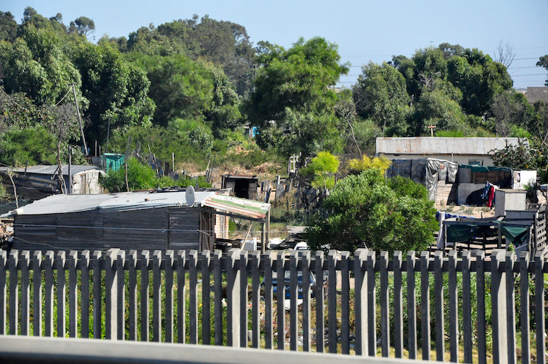 Melanie Heinrich Travel images Capetown -Shark diving Africa